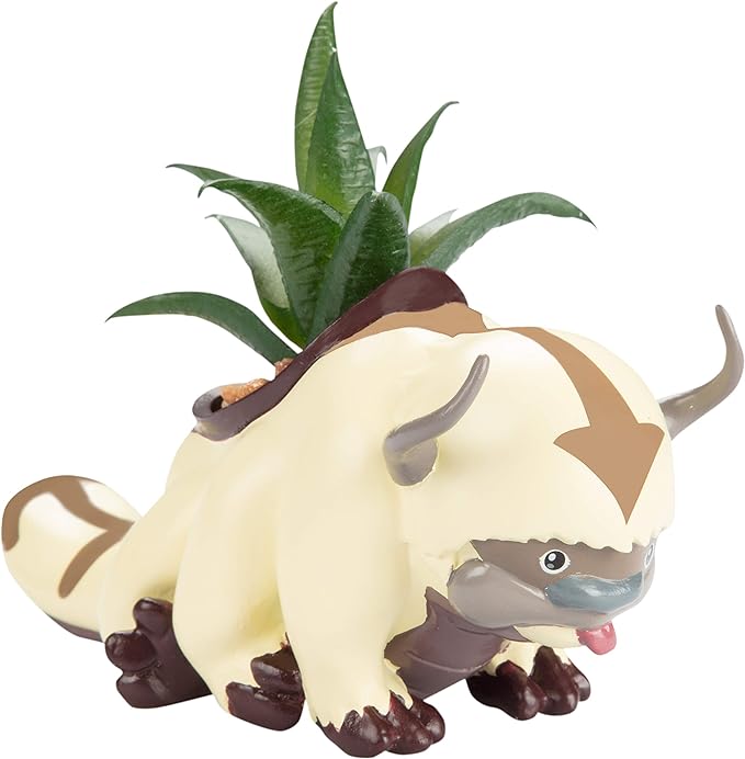 Maceta de Appa (Avatar: La Leyenda de Aang)